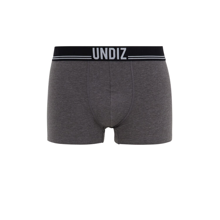 Boxer gris callmegodiz Boxer gris callmegodiz;