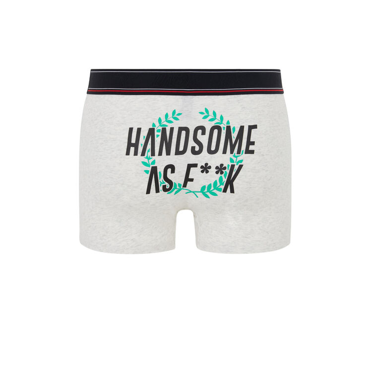 Boxer gris clair engbeauteiz Boxer gris clair engbeauteiz;