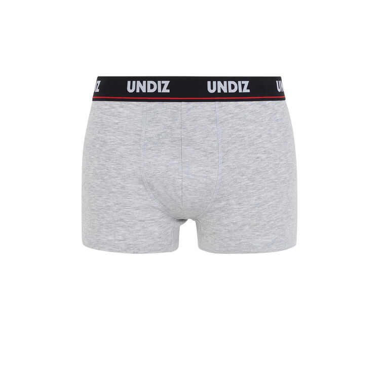 Boxer gris probchildiz Boxer gris probchildiz;
