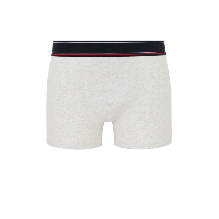 Boxer gris clair engbeauteiz Boxer gris clair engbeauteiz;