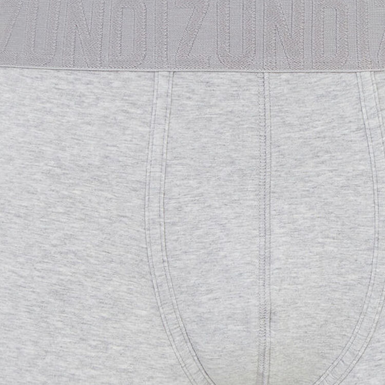 Boxer gris oreliz Boxer gris oreliz;
