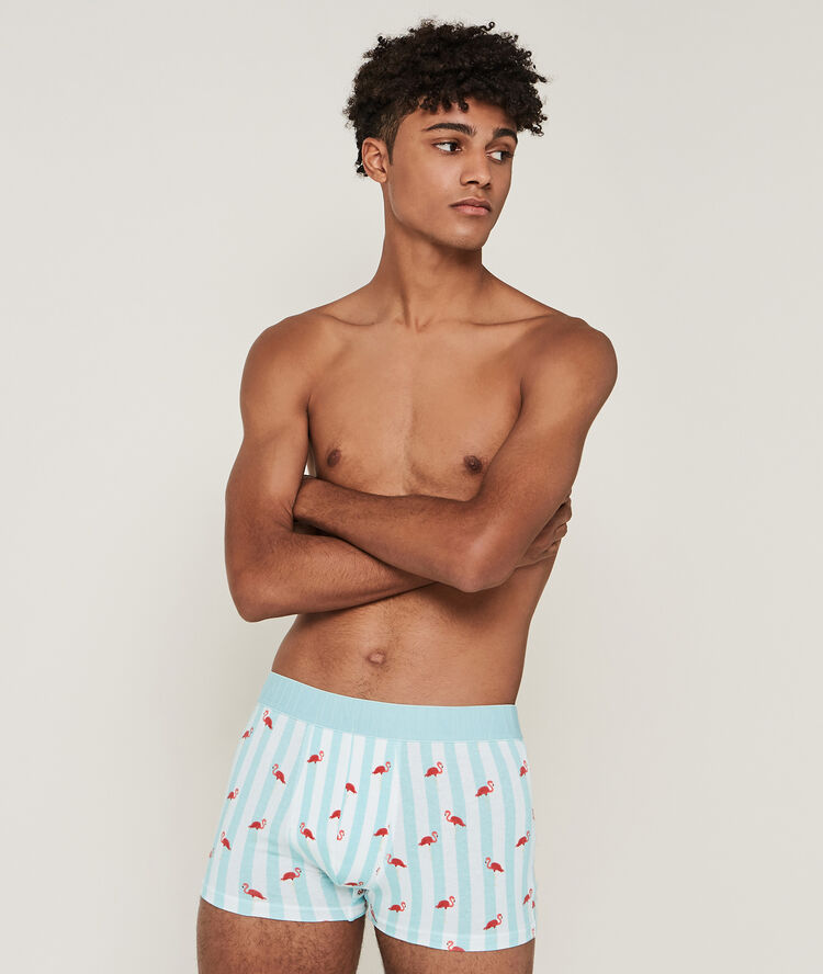 Boxer en coton imprim&eacute; flamants roses - bleu  bleu.