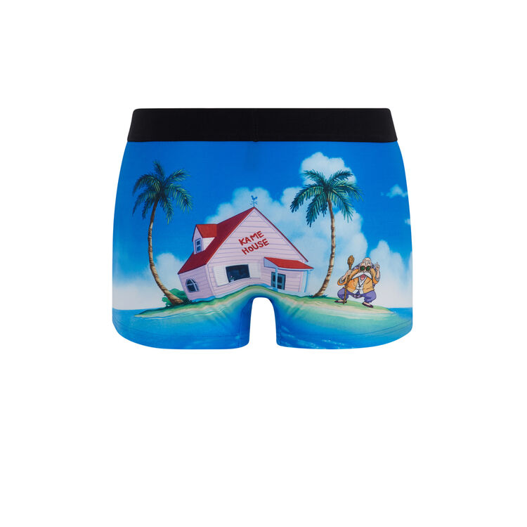 Boxer noir tortuegenializ Boxer noir tortuegenializ;