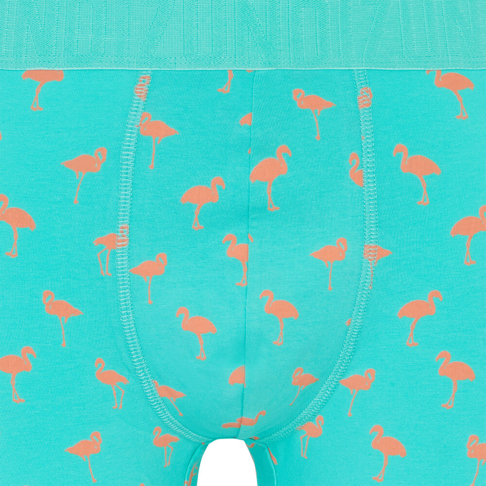 Boxer en coton - vert  vert.