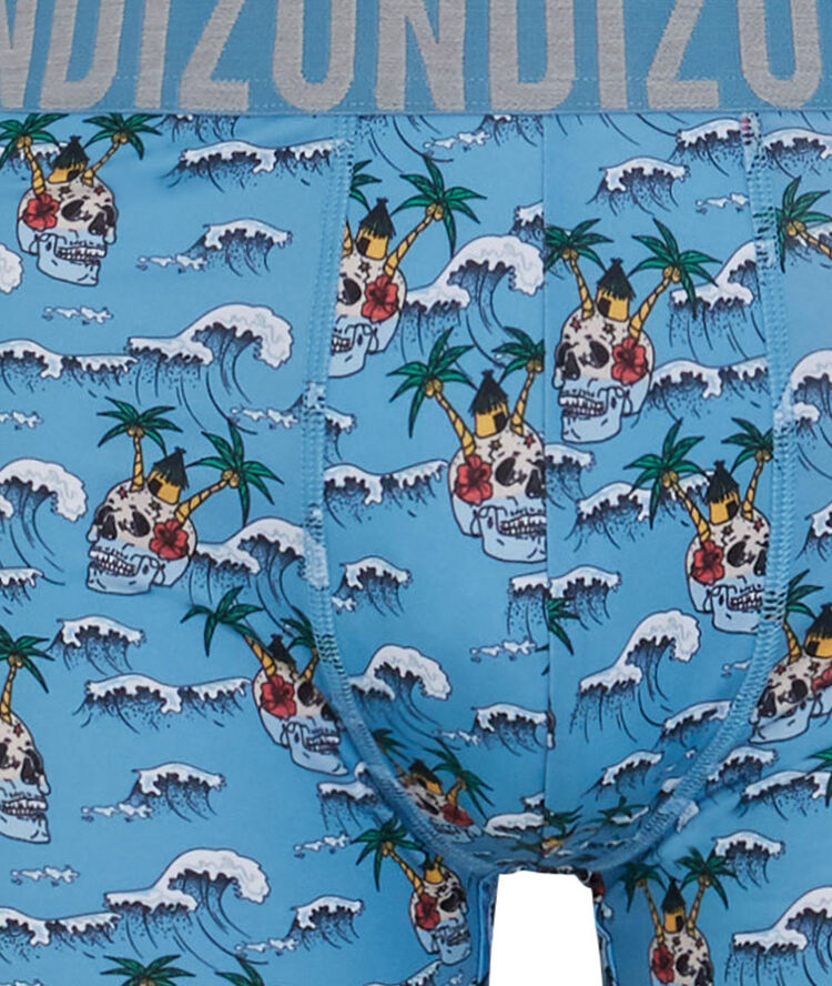 Boxer micro &agrave; imprim&eacute; islandiz bleu.