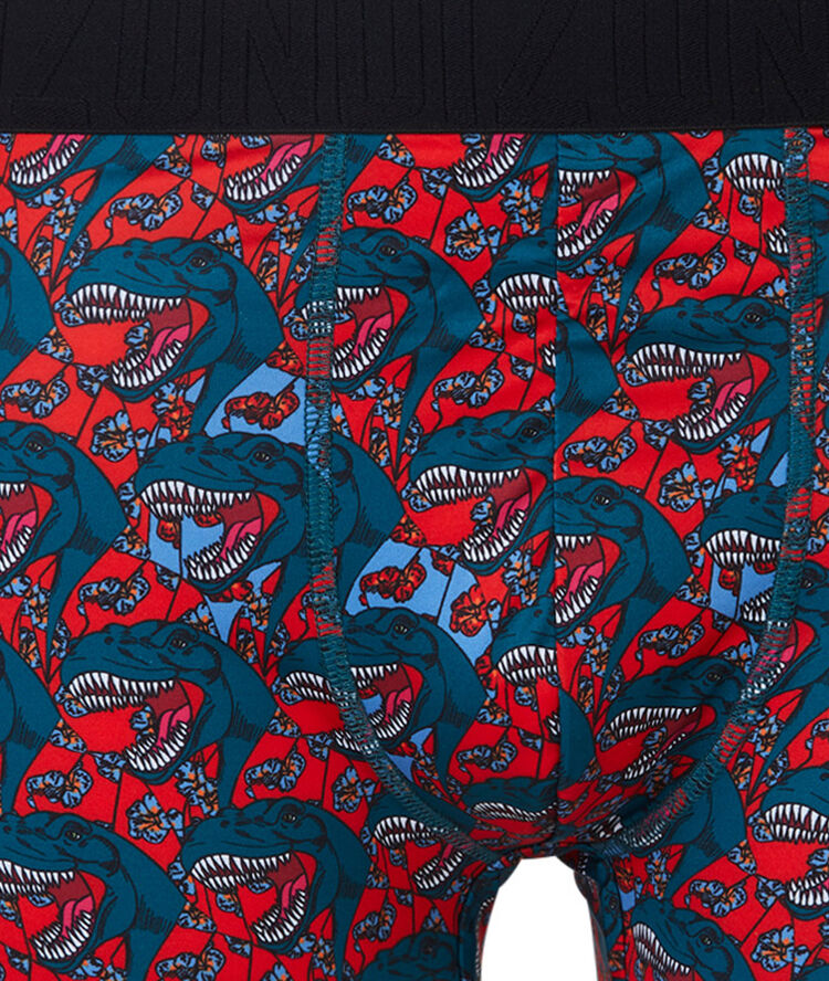 Boxer &agrave; imprim&eacute; dedeiz rouge.