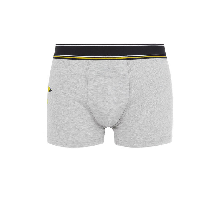 Boxer gris japikachiz Boxer gris japikachiz ;