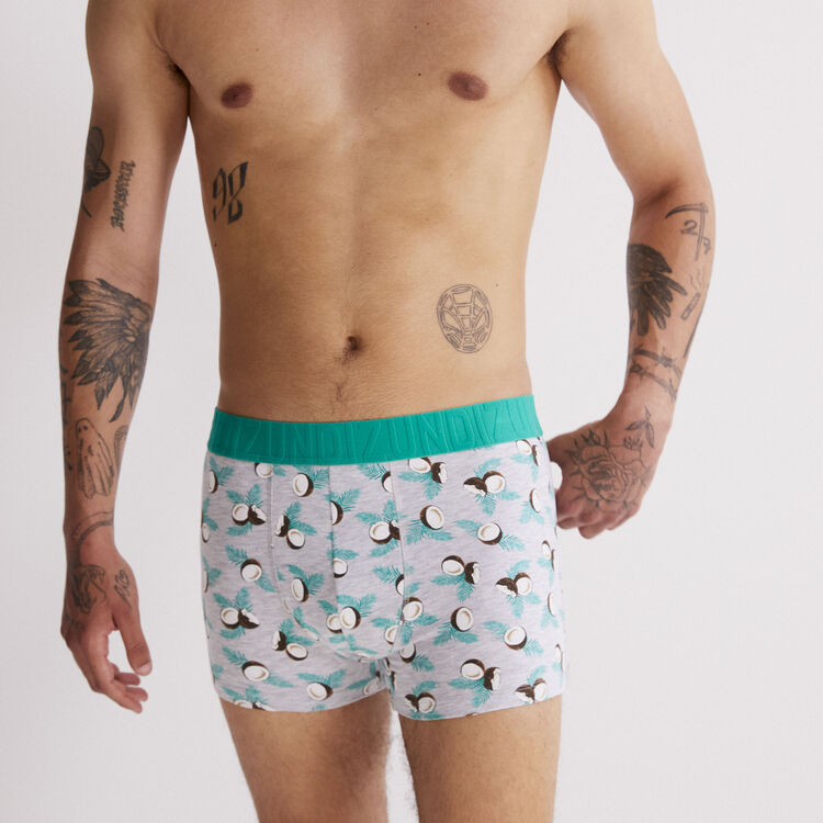 Boxer gris clair noidecocoiz Boxer gris clair noidecocoiz;