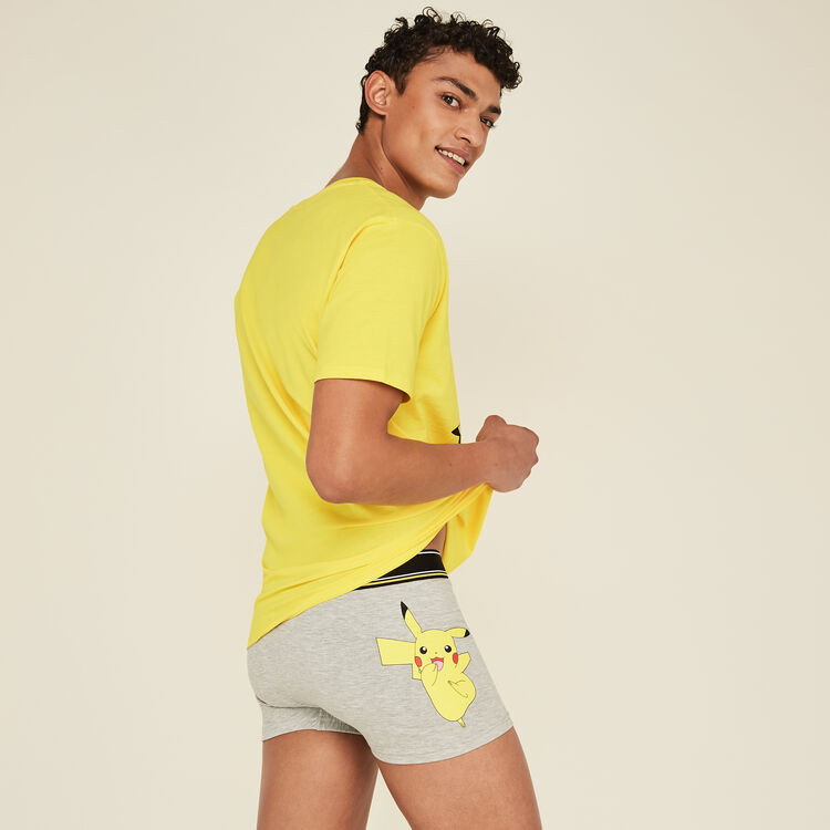 Boxer gris japikachiz grey.