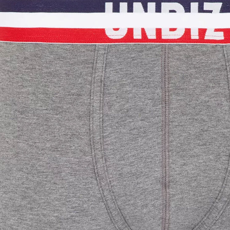 Boxer gris frenchiz Boxer gris frenchiz;